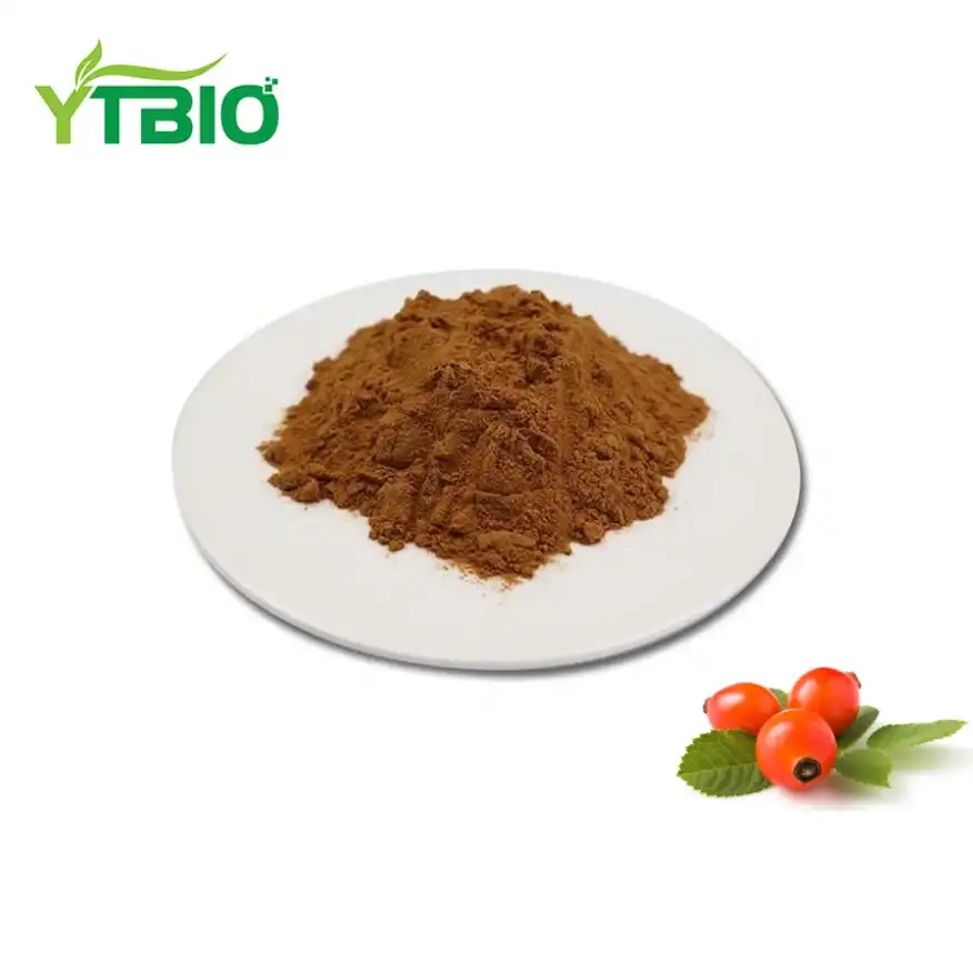 Rosehip Extract Powder